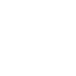 Goodman Cycles